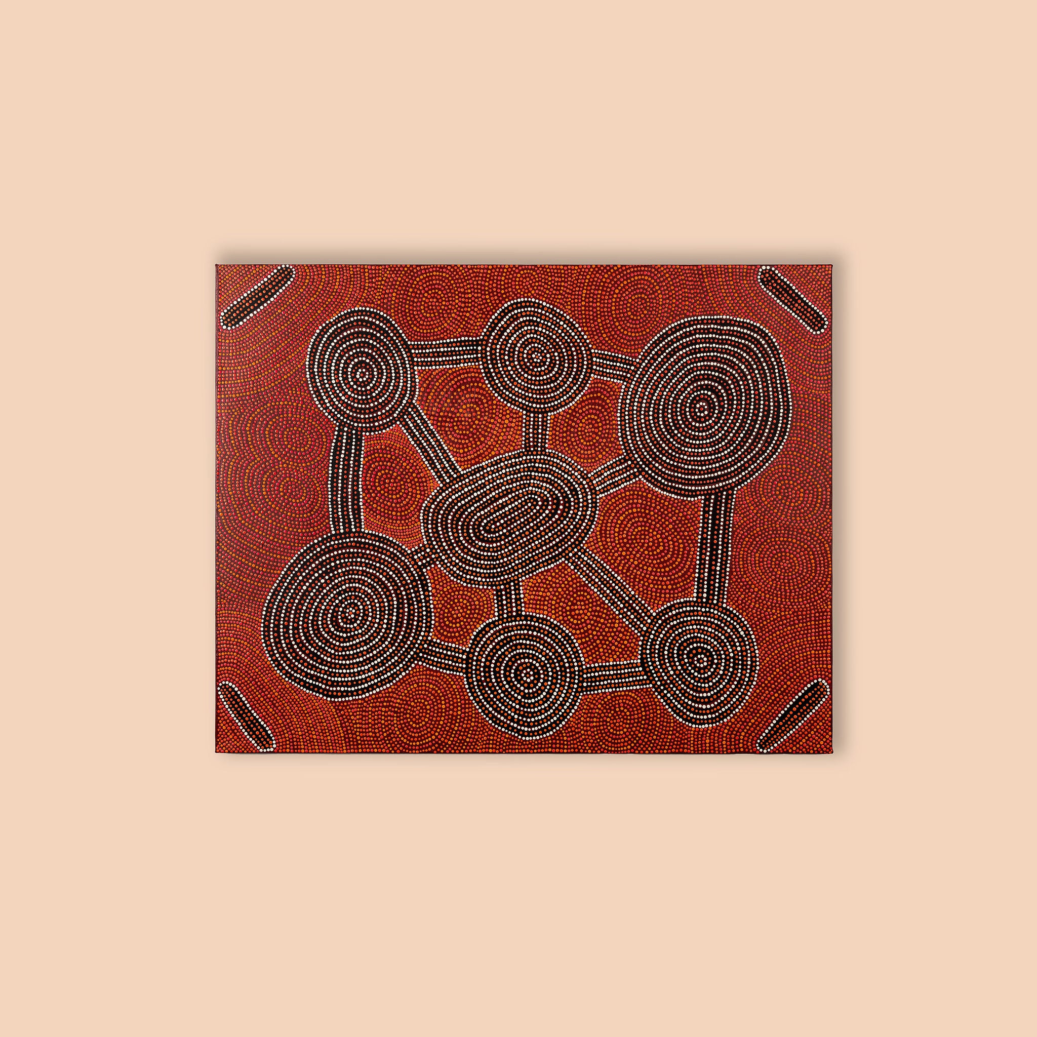Wardapi Jukurrpa by April Spencer Napaltjarri