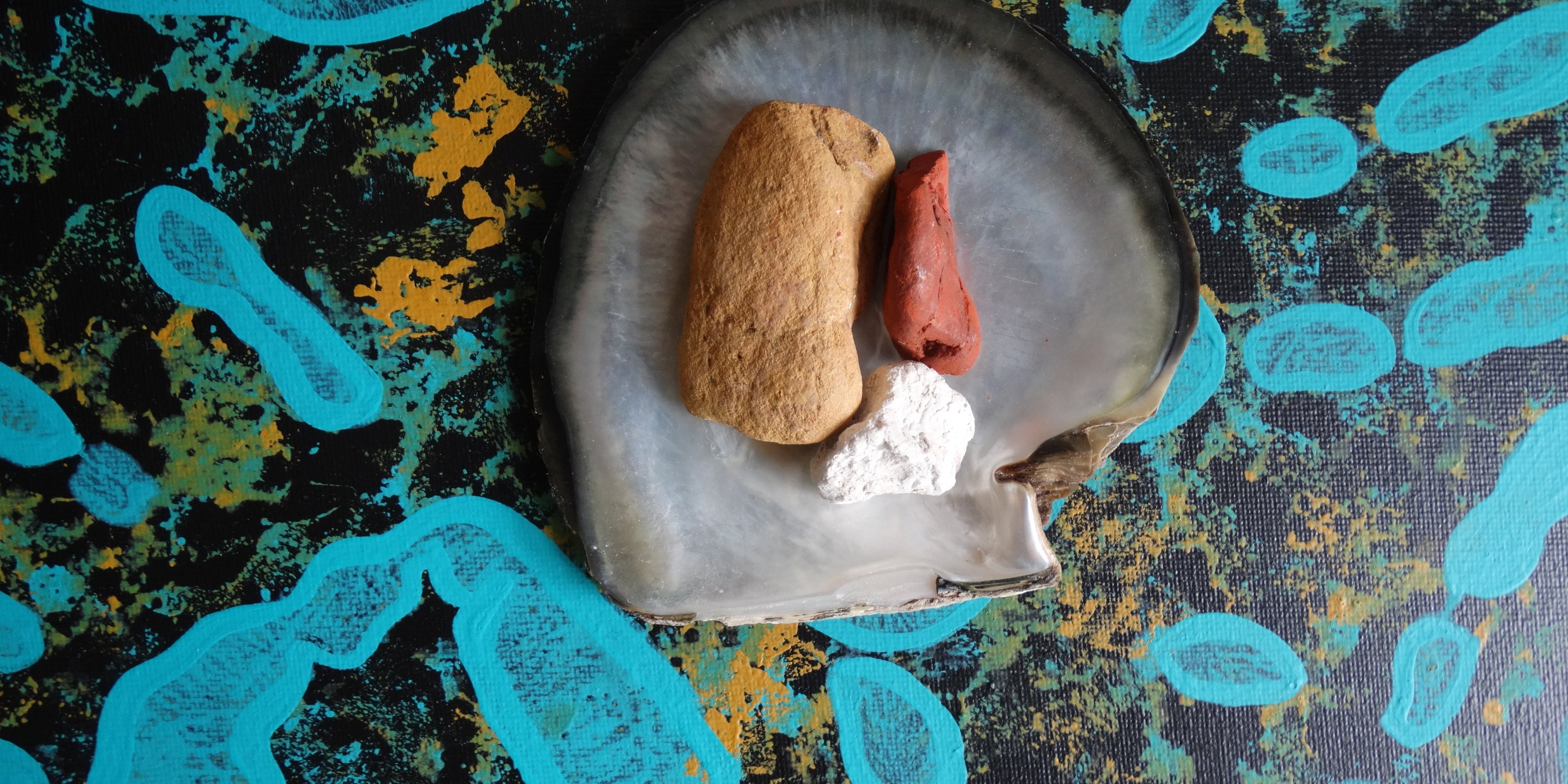 2024–25 Annual Report Summary