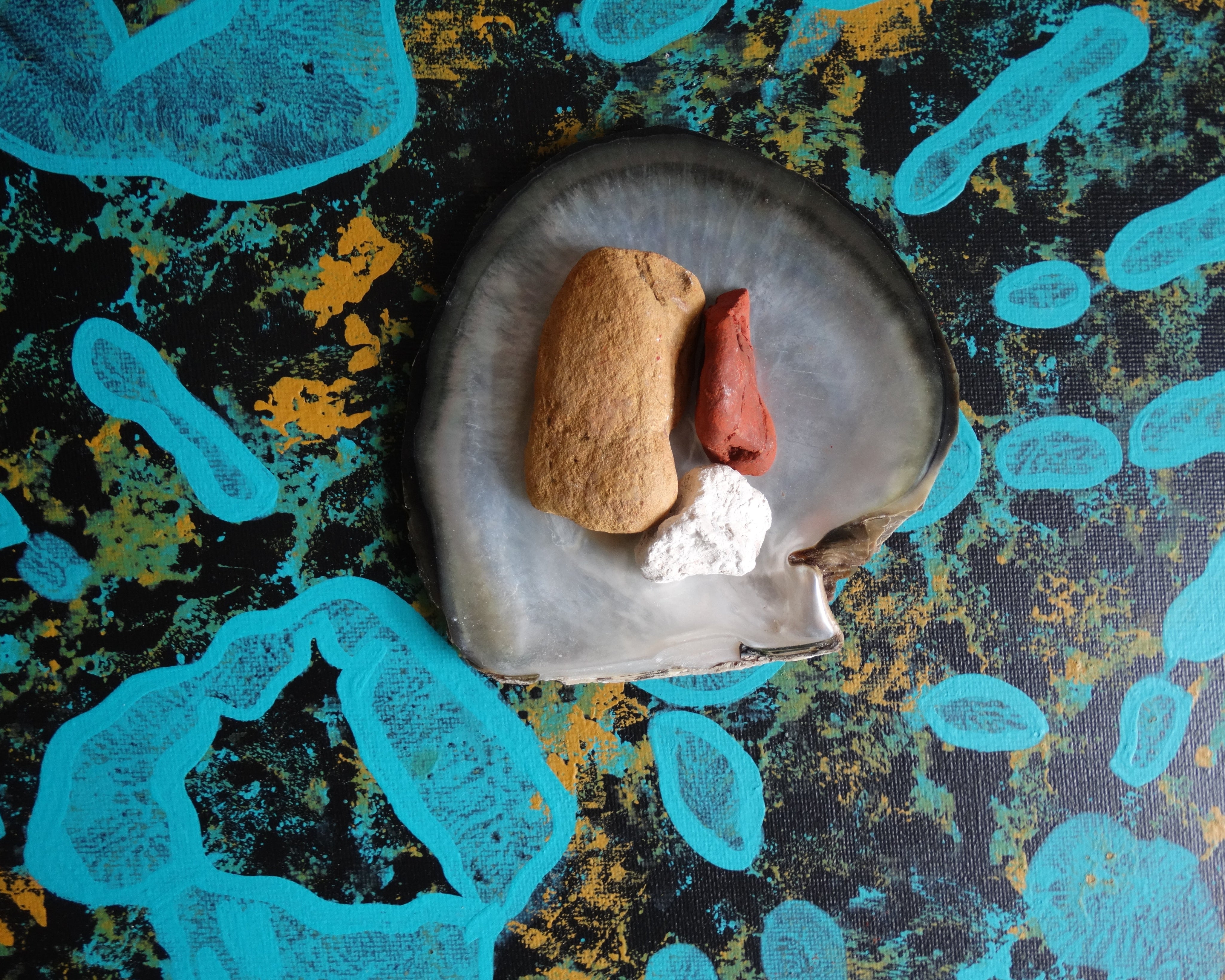 2024–25 Annual Report Summary