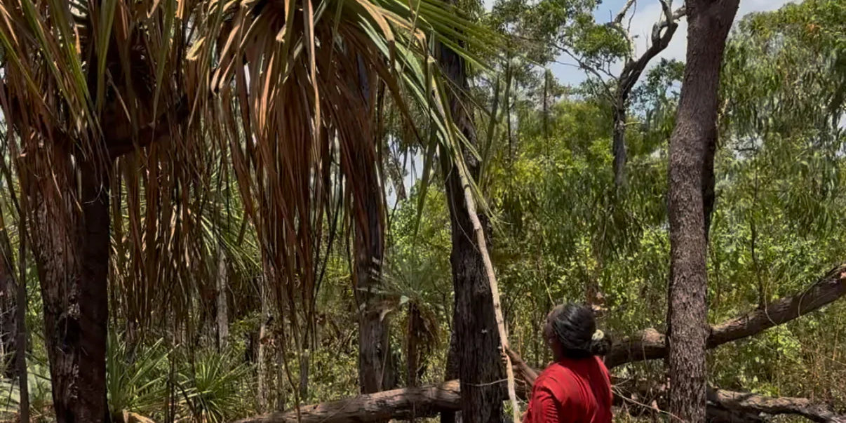 Visiting Bula’bula Arts in Ramingining