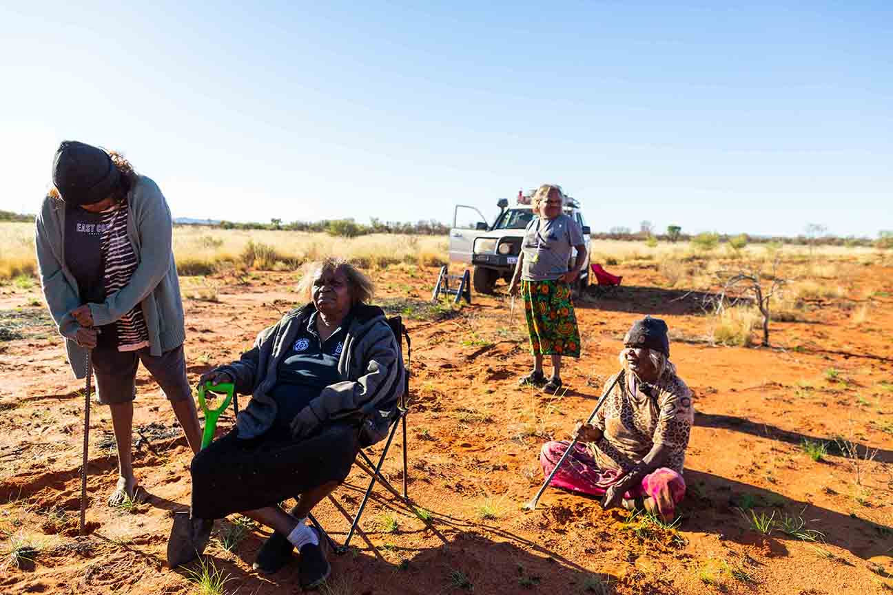 Warakurna Artists