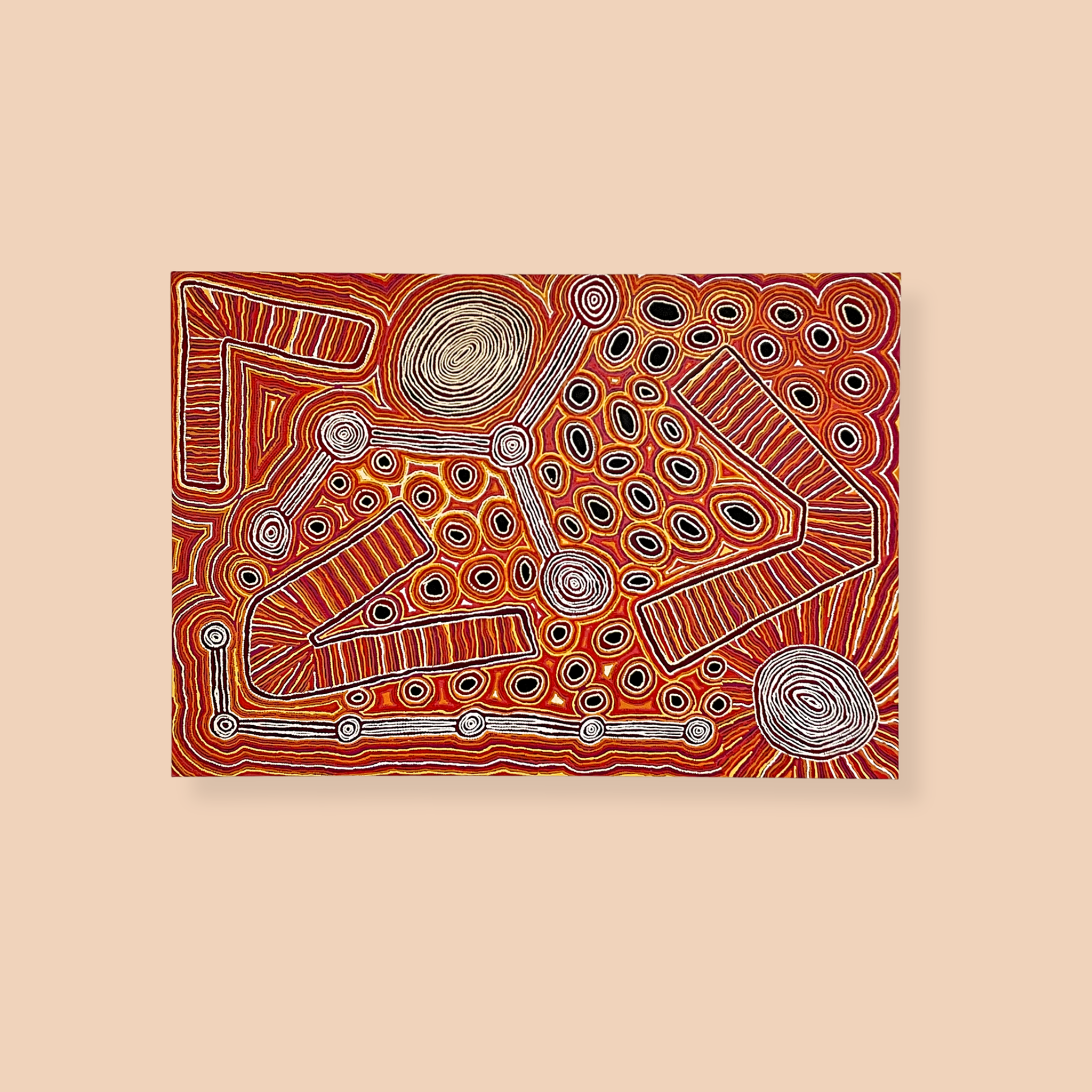 Lappi Lappi Jukurrpa (Lappi Lappi Dreaming) by Antonia Napangardi Michaels
